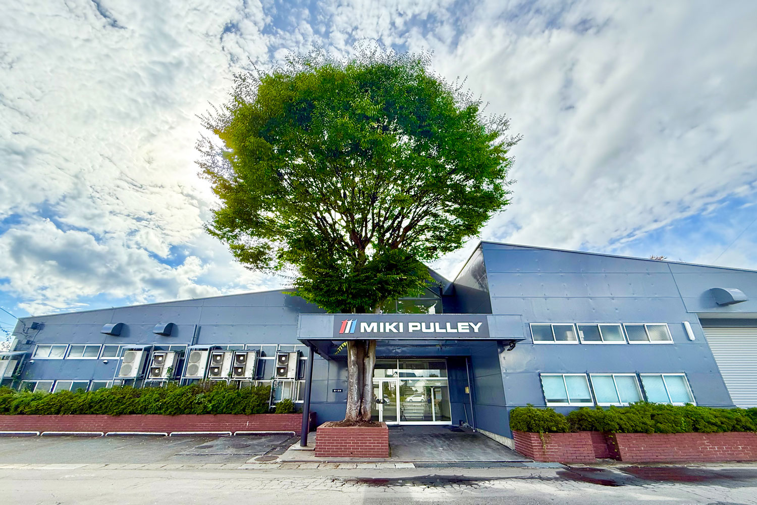 ミキプーリ米沢のシンボルツリー